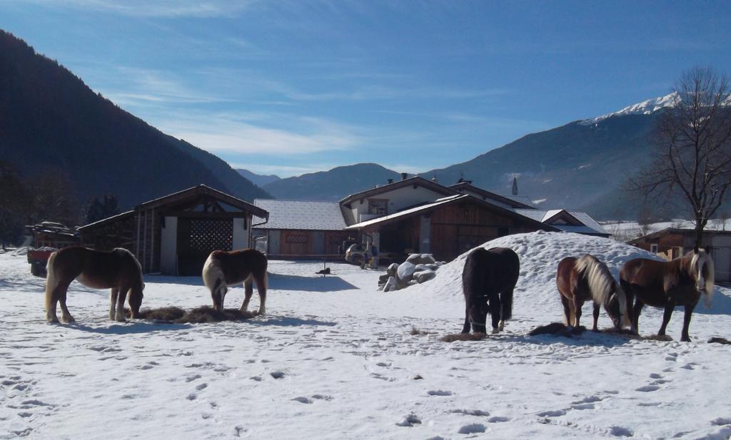 Agriturismo Maso Grisun Borzago Dış mekan fotoğraf