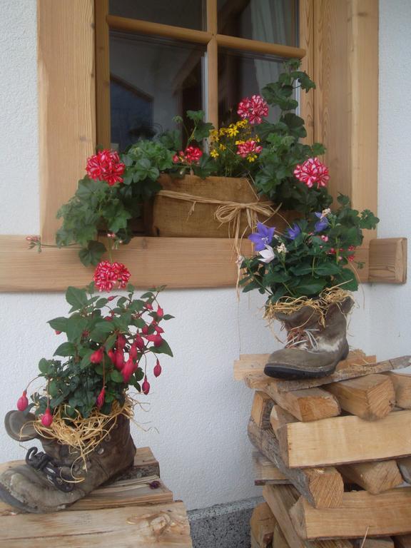 Agriturismo Maso Grisun Borzago Dış mekan fotoğraf