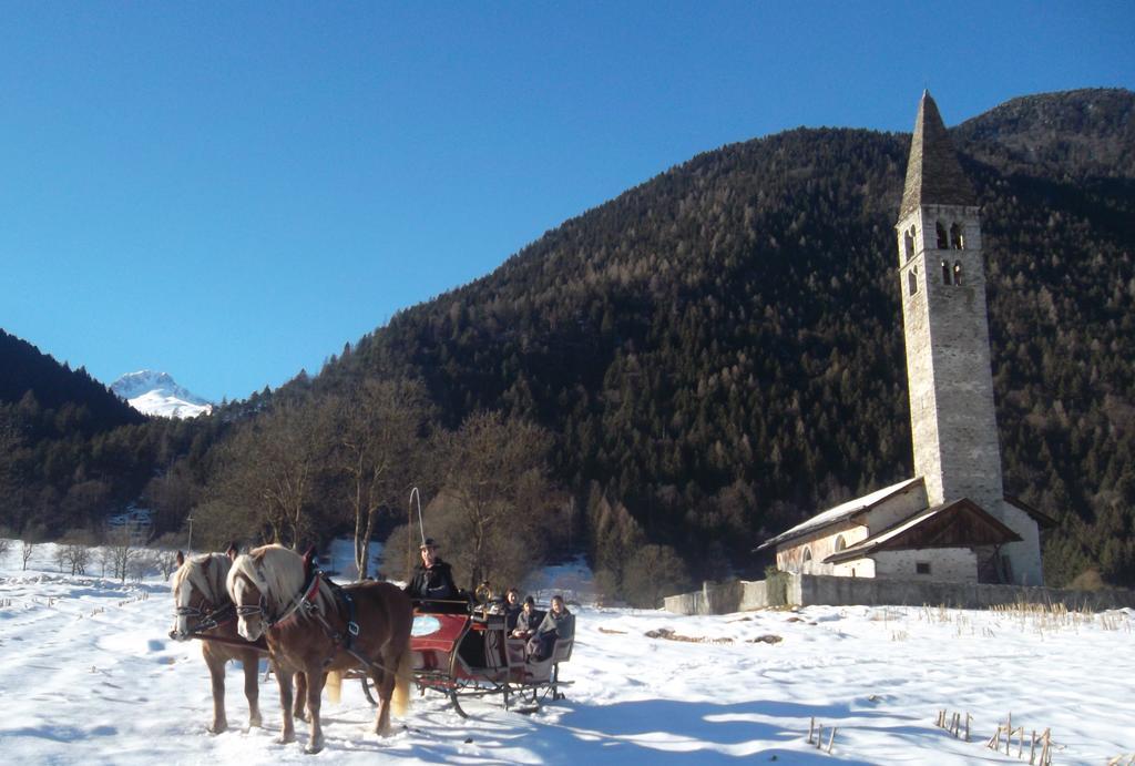 Agriturismo Maso Grisun Borzago Dış mekan fotoğraf
