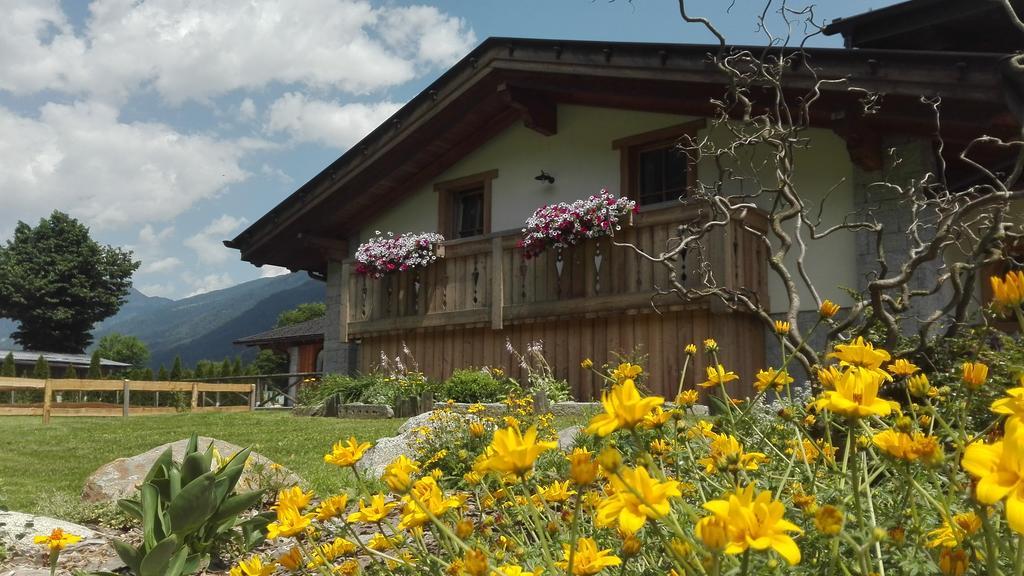 Agriturismo Maso Grisun Borzago Dış mekan fotoğraf