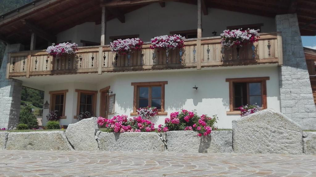 Agriturismo Maso Grisun Borzago Dış mekan fotoğraf