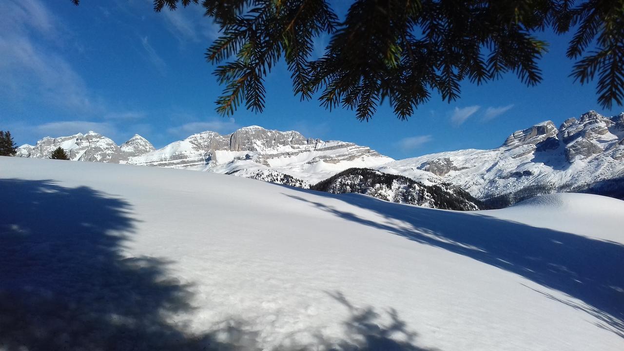 Agriturismo Maso Grisun Borzago Dış mekan fotoğraf